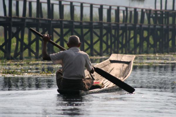 Foto de Old Burmese man rowing a boat near a bridge on Inle Lake - Myanmar - Asia
