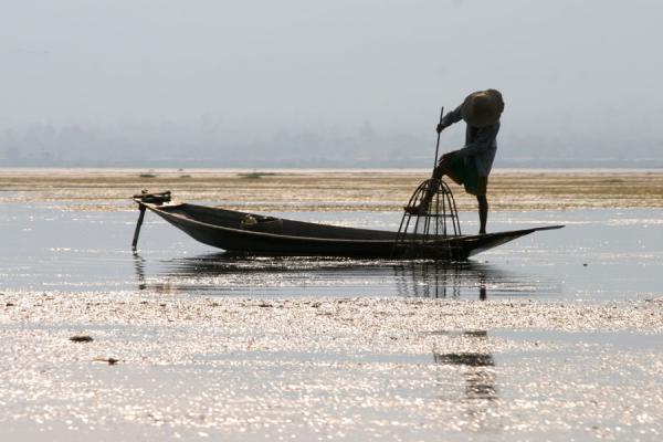 Picture of Fisherman trapping a fish in his bamboo fishing basket on Inle Lake