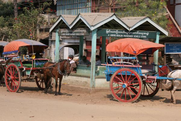 Picture of Horse carriage stand: being without cars makes Katha pleasant (Katha, Myanmar)