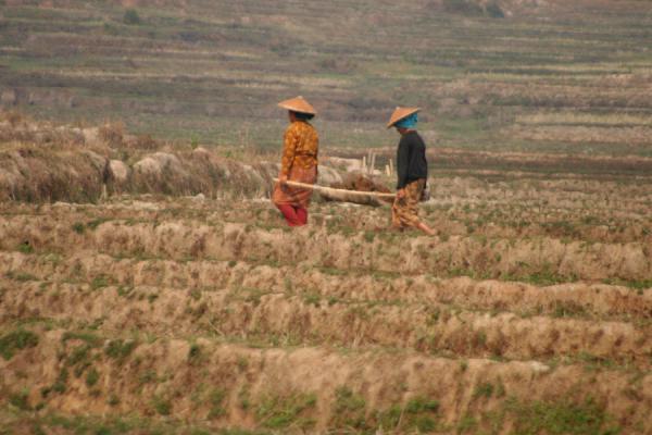 Foto van Working the land near KengtungMyanmar - Myanmar