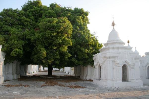 Picture of Mandalay (Myanmar): Kuthodaw Paya: lane with some of the marble slabs with the Tripitaka teachings