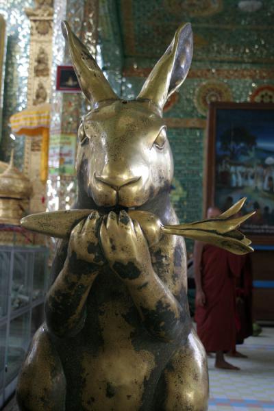 Rabbit donation opportunity in Sagaing | Royal Cities | Myanmar