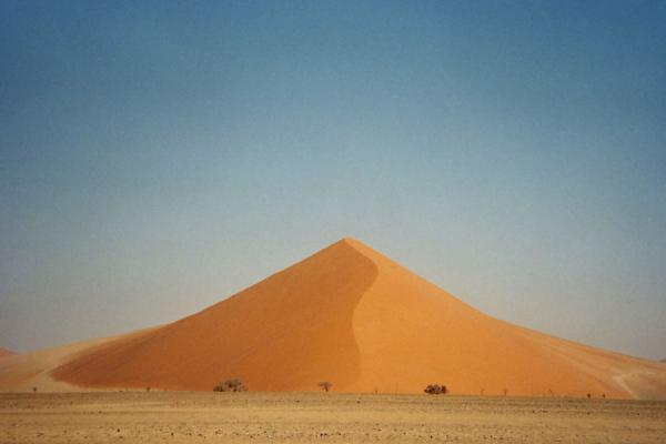 Sand dune dwarfing trees | Sesriem | Namibia