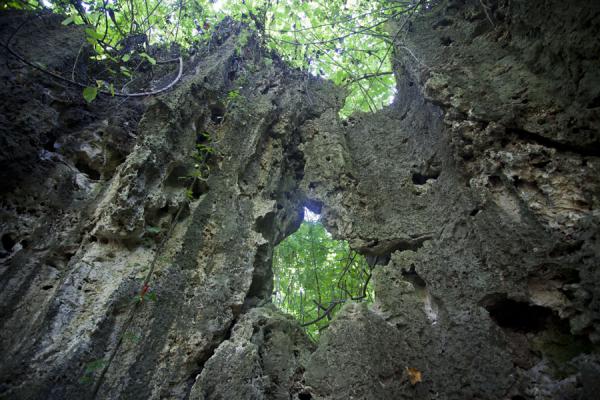 The Hole in the Wall, through which you have to climb to continue your walk | Excursión Hole in the Wall | Nauru