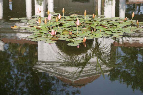 Foto di Basanta pavilion reflected in a pond at Garden of DreamsKathmandu - Nepal