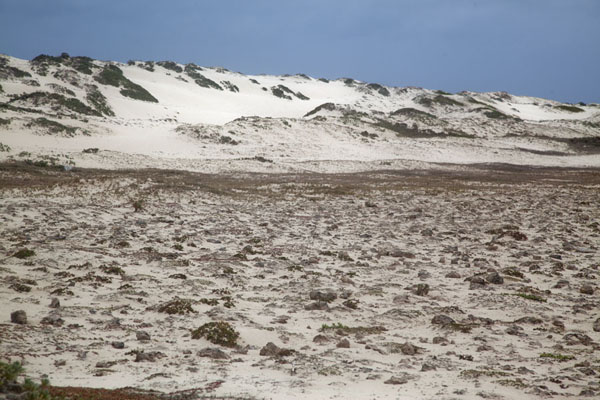 Foto de Range of white sand dunes at Arashi, the northwest point of ArubaArashi - Antillas holandesas