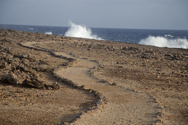 Picture of Waves towering above the landscape of Shete Boka National Park