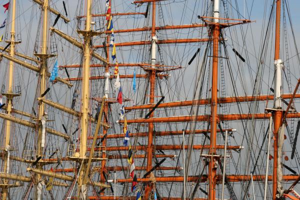 Masts everywhere at Sail Amsterdam | Sail Amsterdam | Netherlands