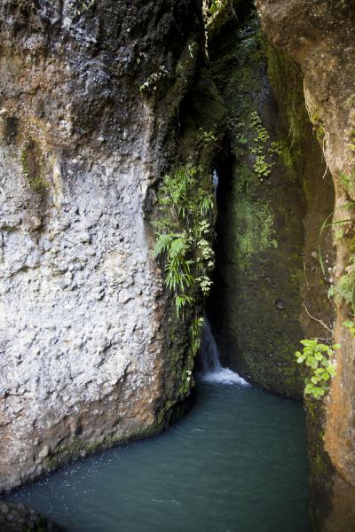 Picture of Waterfall hidden off Auckland City WalkWaitakere - New Zealand