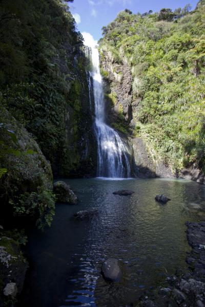 Picture of Waitakere Ranges Regional Park (New Zealand): Reflection of Kitekite falls in the pool