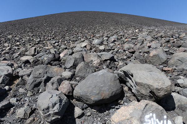 Picture of The stony slopes of Cerro Negro