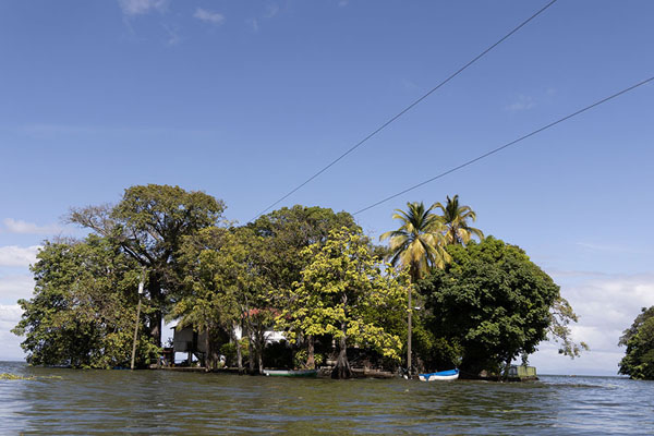 Foto van One of the islets in Lake Nicaragua south of GranadaIsletas - Nicaragua
