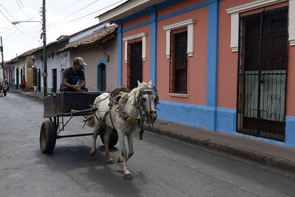 Foto van One of the horsecarts riding the streets of LeónLeón - Nicaragua
