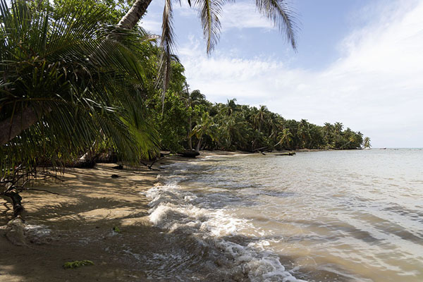 Photo de Beach at the northern side of Little Corn island - le Nicaragua - Amérique