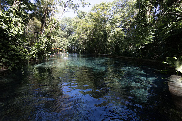 Picture of A natural spring on Ometepe Island: Ojo de Agua or Eye of Water - Nicaragua - Americas