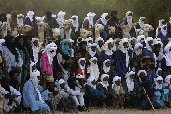 Picture of Gerewol (Niger): Audience of Tuaregs and camels watching the Gerewol festivities