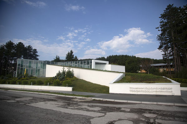 Picture of Toše Proeski memorial for Kruševo's famous singerKruševo - North Macedonia