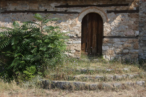 Photo de Stairs overgrown with grass at Sveta Bogorodica Perivlepta church - Macédoine du Nord - Europe