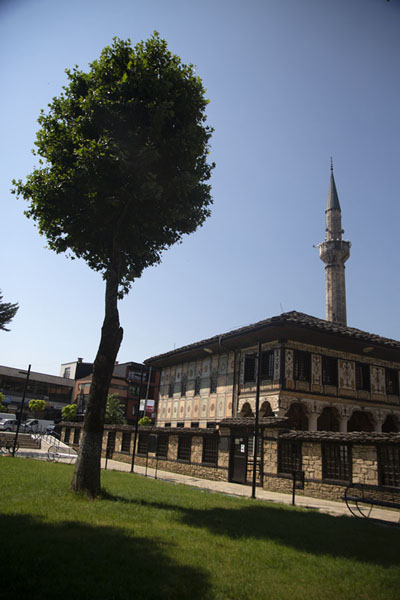 Tree in the courtyard with the mosque in the background | Mosquée peinte | Macédoine du Nord
