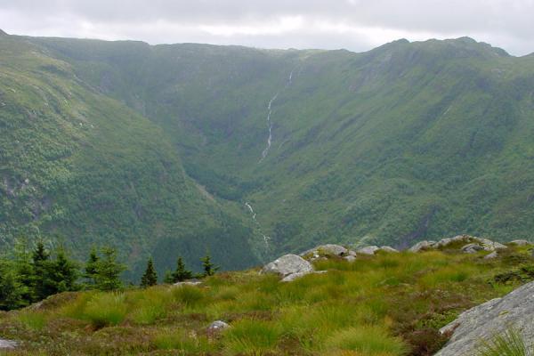 Photo de Mountain in the vicinity of Mount FløyenBergen - la Norvège