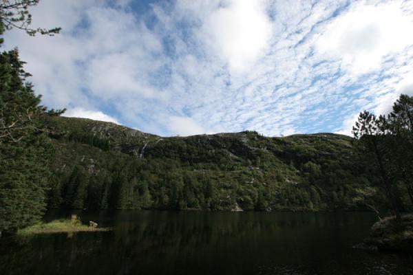 Tree-covered mountains and lake in the Mount Fløyen area | Caminar Fløyen | Noruega
