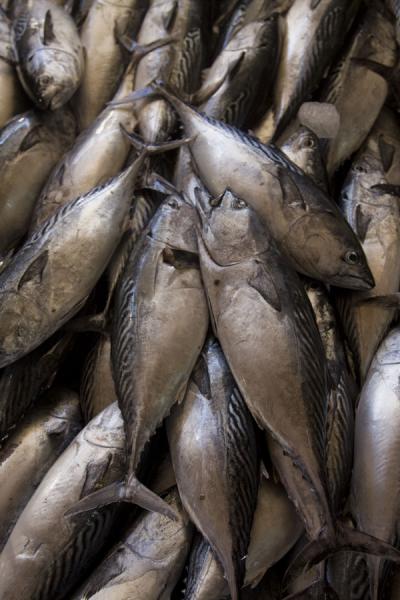 Foto van Fish for sale at the fishmarket of MutrahMutrah - Oman
