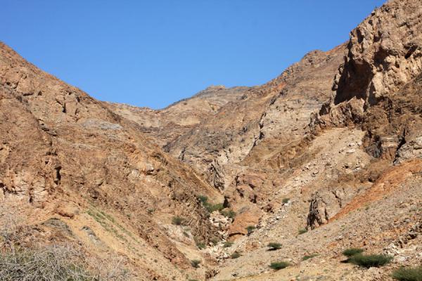 Picture of Wadi Mayh (Oman): Small valley in Wadi Mayh