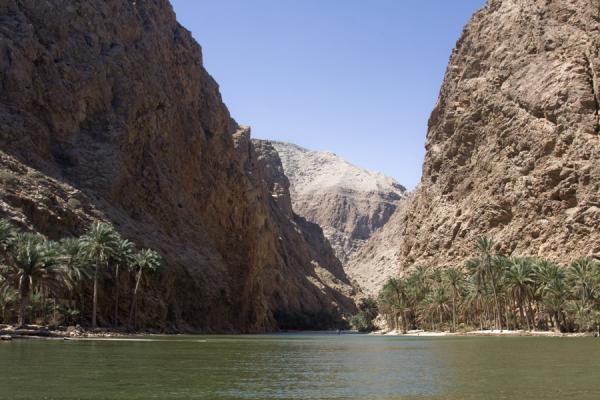 Picture of Wadi Shab (Oman): Palm trees and rocky cliffs at the entrance of Wadi Shab