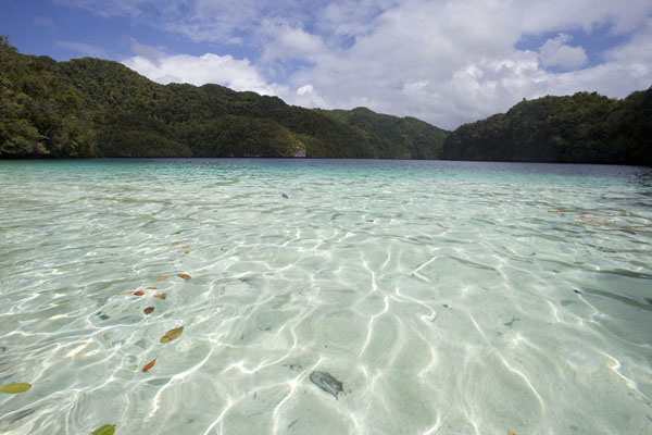 Translucent sea water surrounded by rock islands | Rock Islands | Palau