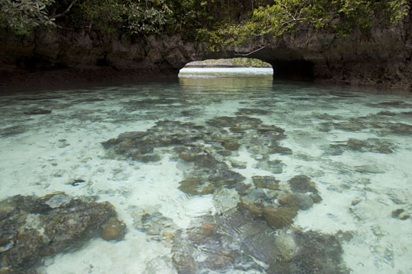 Foto de A small inner lake reached through a natural bridgeRock Islands - Palau