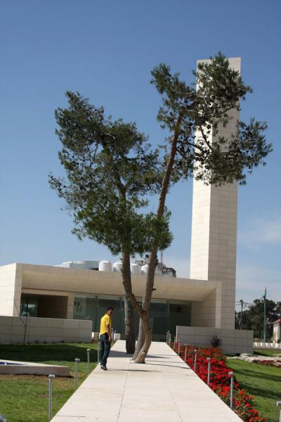Picture of Lane with tree and mosque of Arafat's mausoleum