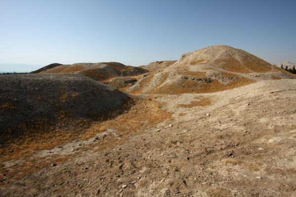 Foto van Much of Tel es-Sultan is still covered by earthJericho - Palestina
