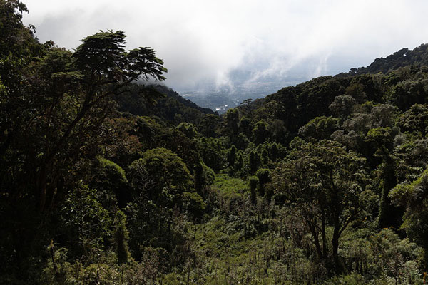 View of the green slopes of Barú Volcano | Barú Volcano | Panama