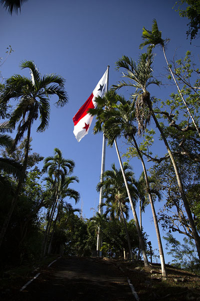 Foto van The largest Panamanian flag flies on top of Ancon HillPanama-Stad - Panama