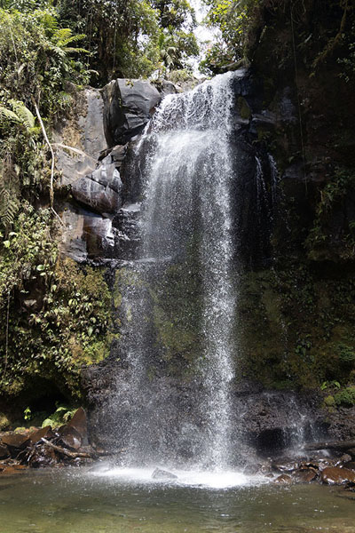 Picture of Lost Waterfalls hike (Panama): View of the second lost waterfall