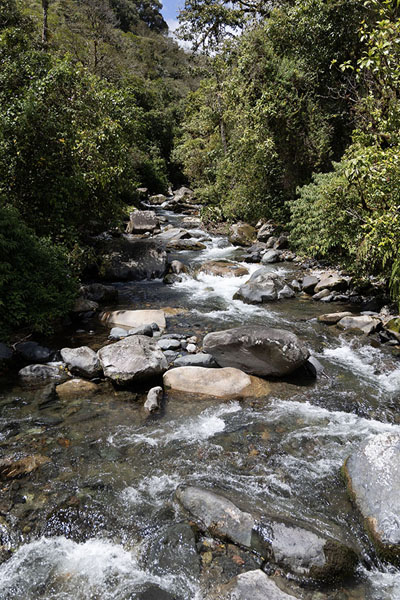 Foto di The Caldera river has to be crossed before the start of the trailBoquete - Panama