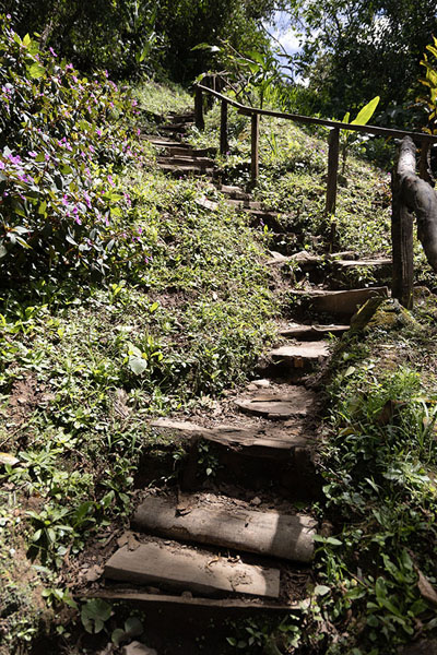 Beginning of the trail up the mountain | Camino Las Tres Cascadas | Panamá