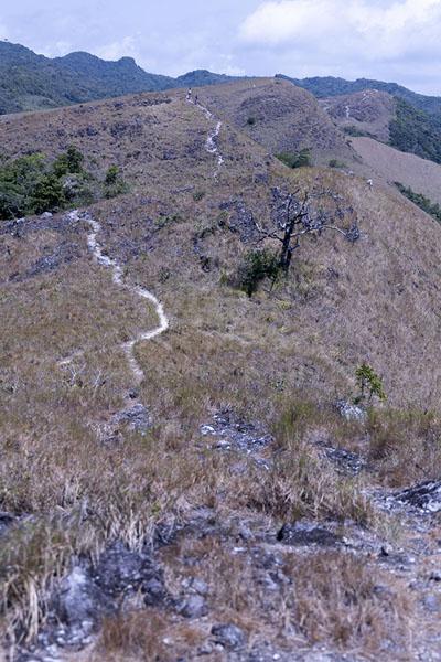 Photo de Trail meandering through the caldera landscape of Valle de AntónValle de Antón - le Panama