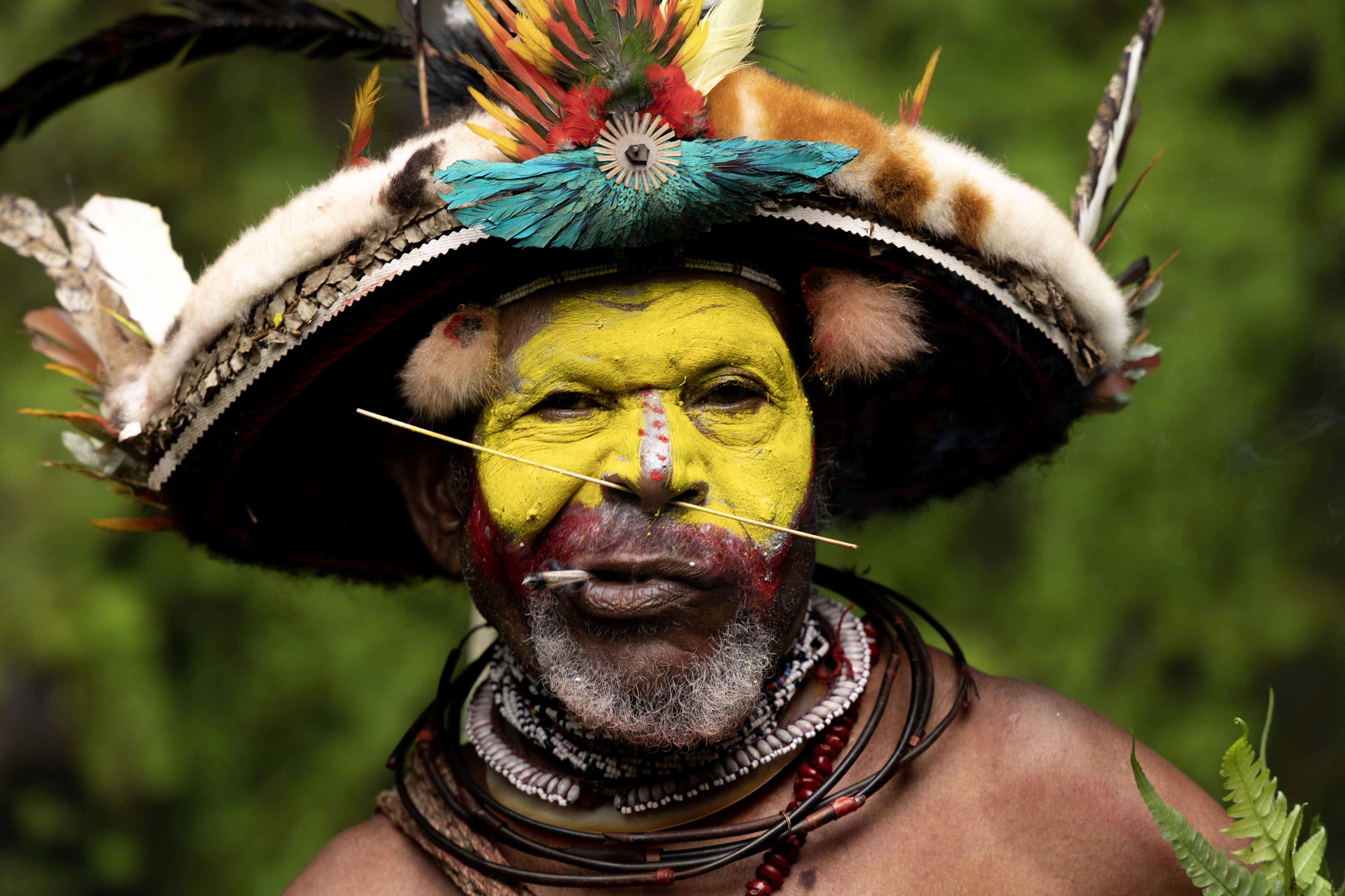 Huli Wigman with painted face and headdress | Huli Wigmen | Papua New Guinea