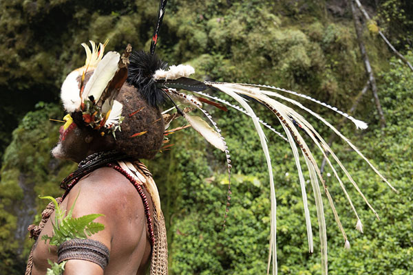 Huli Wigman posing with his elaborate headdress in nature | Huli Wigmen | Papoea Nieuw Guinea