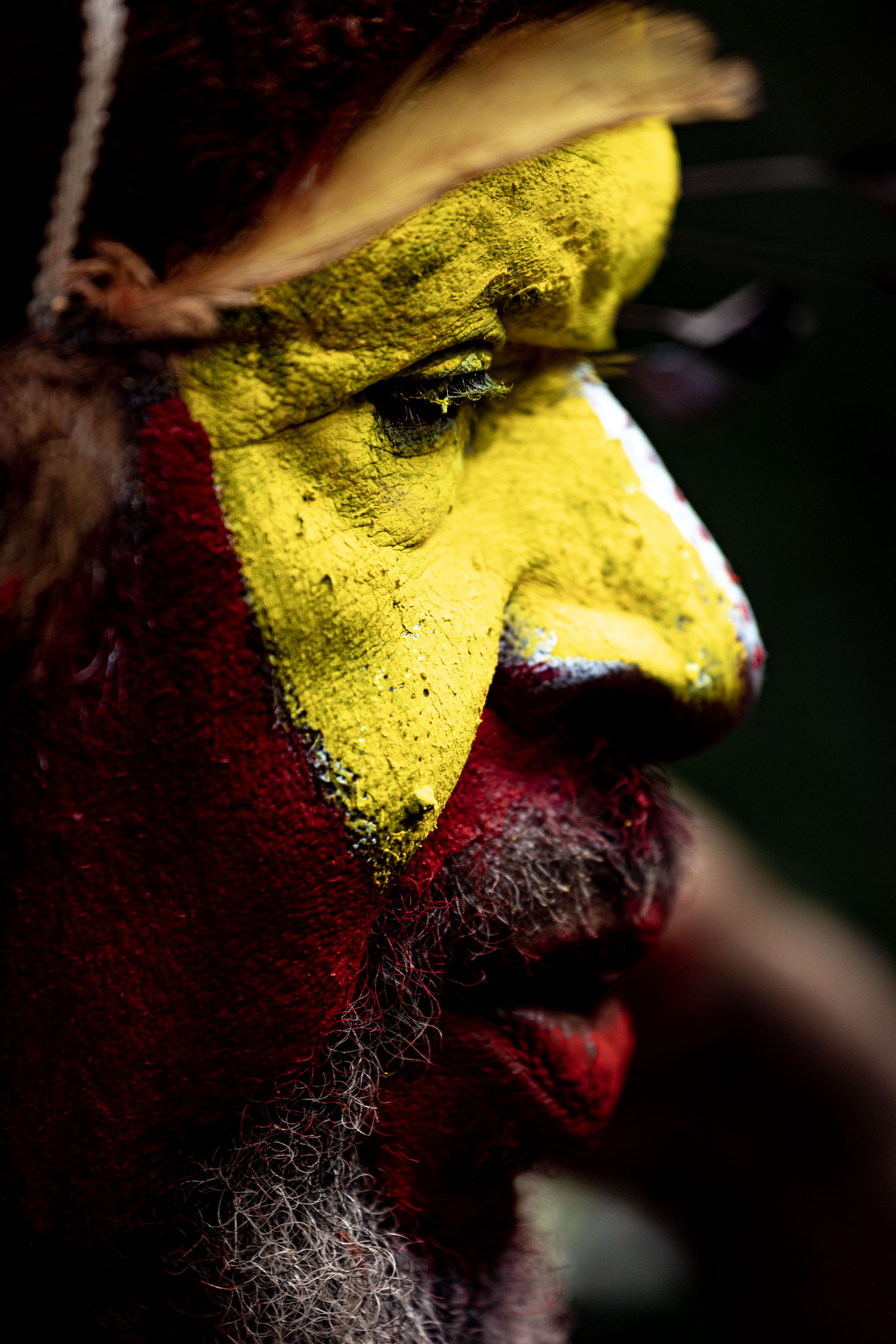 Side view of a Huli Wigman | Huli Wigmen | Papua Nuova Guinea
