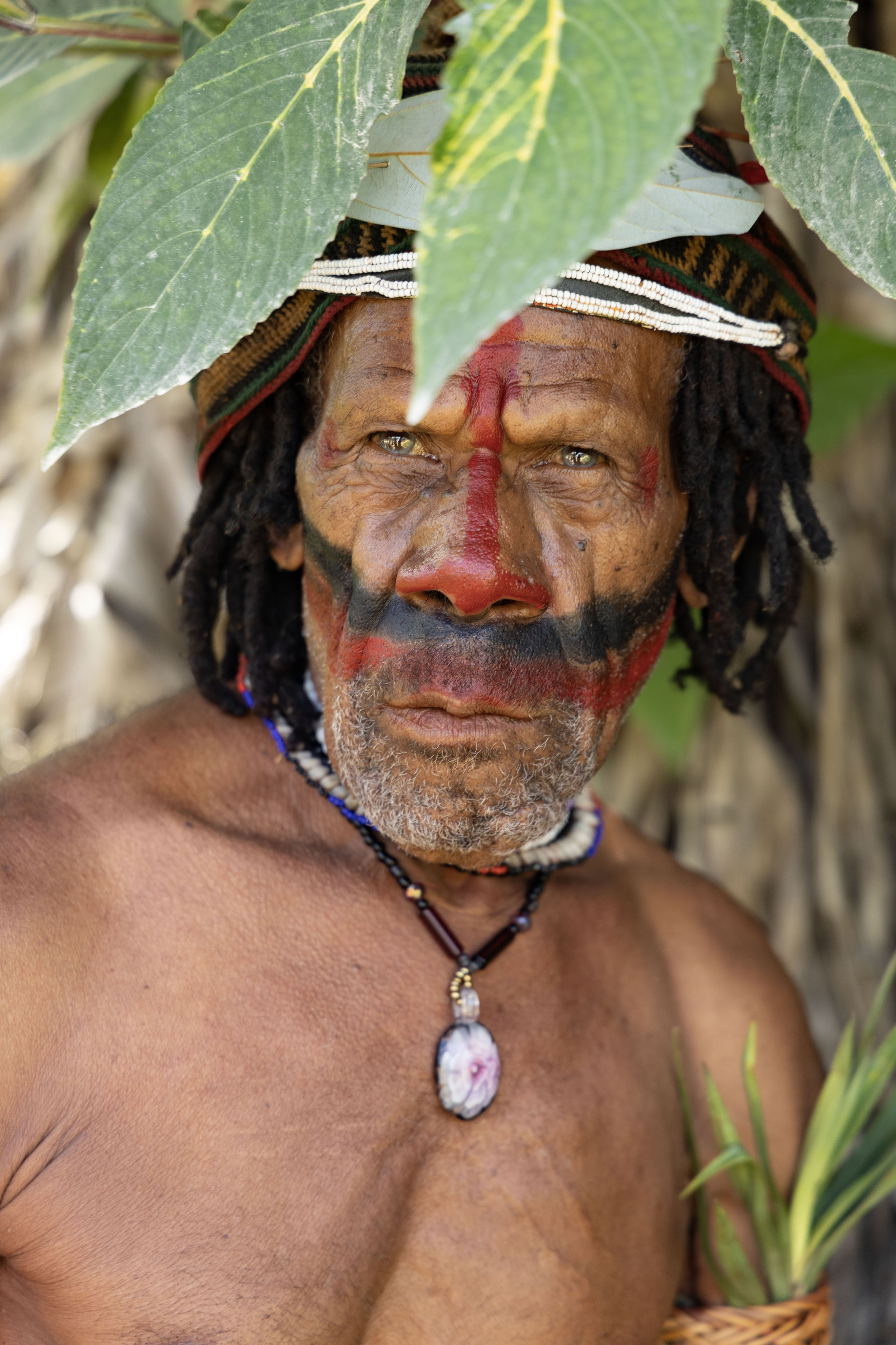 Foto van One of the Huli Wigmen with a differently painted faceTari - Papoea Nieuw Guinea