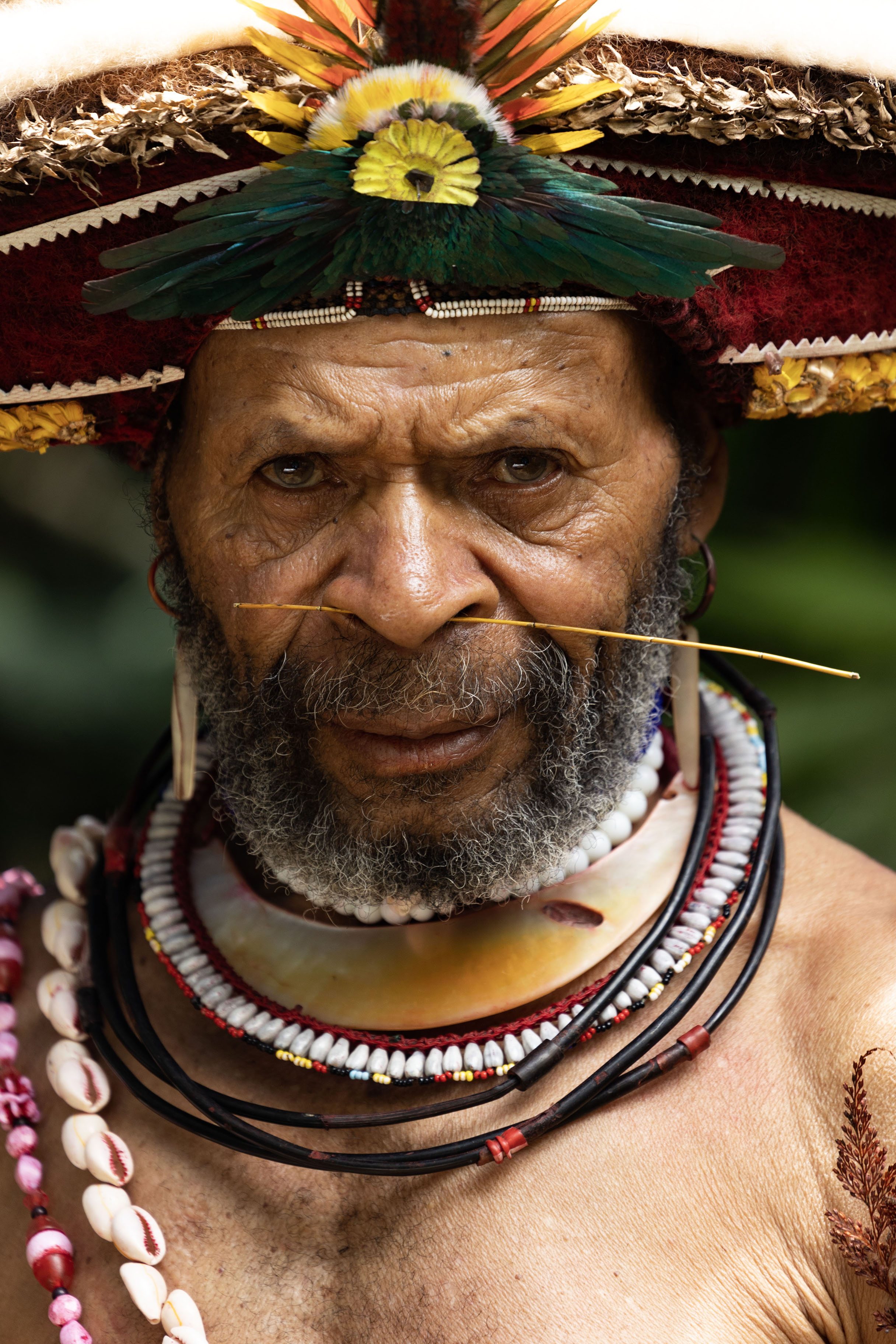 A seriously looking Huli Wigman | Huli Wigmen | Papua Nuova Guinea