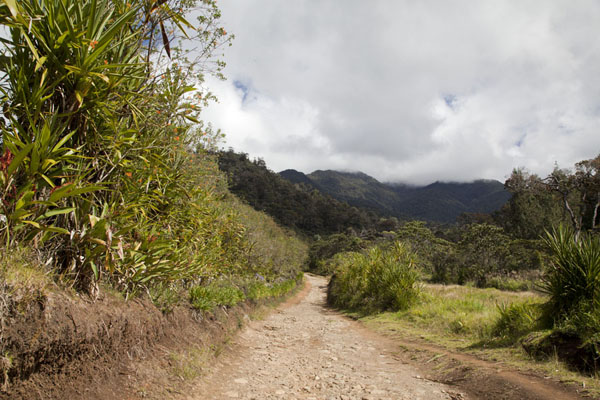 Foto di The track at the upper part of KeglsuglKeglsugl - Papua Nuova Guinea