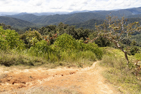 Looking north over the Kokoda Track | Sendero de Kokoda | Papúa Nueva Guinea