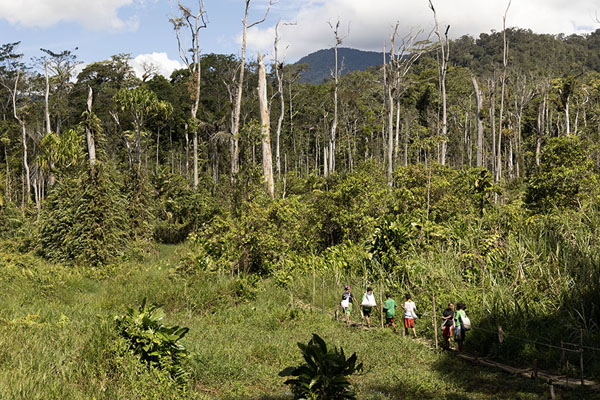 Locals walking through the swamp north of Naoro | Kokoda Track | Papoea Nieuw Guinea