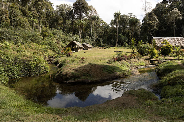 Creek near Mount Bellamy, the highest point of the Kokoda Track | Kokoda Track | Papoea Nieuw Guinea