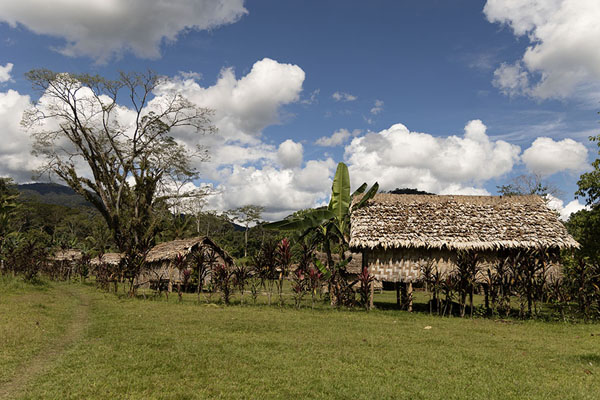 Foto van One of the many villages on the Kokoda track - Papoea Nieuw Guinea - Oceanië