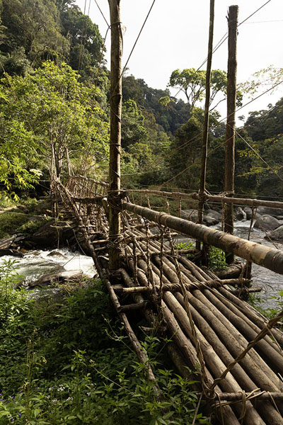 Bridge make with local materials at Eora Creek | Kokoda Track | Papoea Nieuw Guinea