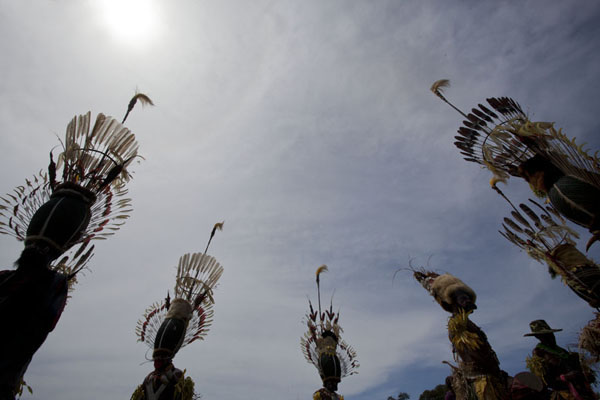 Picture of Madang festival (Papua New Guinea): Headdresses towering high above the dancers of the Simbai group